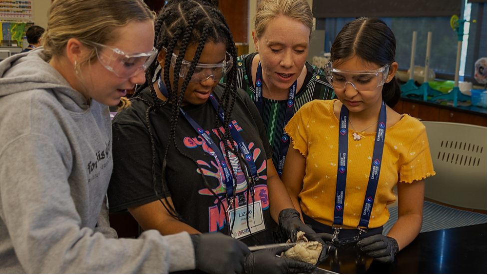 Students working alongside a teacher at the GSSM